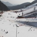 오투리조트