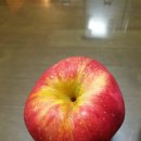 세호농장 이미지