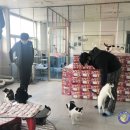 (주)디케이코리아 이미지