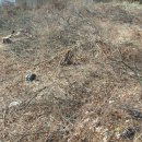 이기영공인중개사사무소 이미지