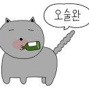 문학싱싱종합어시장 - 16416 | 문학싱싱종합어시장
