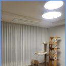 사쿠사쿠 효성백년가약점 | 대구 남구 봉덕동 강변효성백년가약 아파트 거실·안방 맞춤커튼 시공 후기