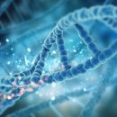 보이지 않는 것과 이미지