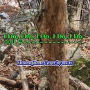 I Do I Do I Do I Do / Abba Altosaxophone Cover 이미지