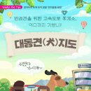 다솜동물메디컬센터 이미지