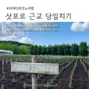 이레농장 | 삿포로 근교 당일치기｜인디고 트레블 비에이·후라노 여름 버스투어 후기