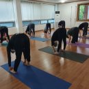 요가 오후반 이미지