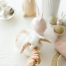 서동 동물메디컬센터 이미지