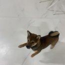 웨글웨글 이미지