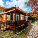 풀내음농장 | 양주시 장흥면 양주 장흥해일농장펜션 자연 속 완벽한 힐링 펜션 후기!