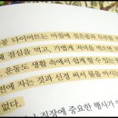 살잡이다이어트 이미지