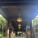 스티치온 | 1164. 미국 올랜도 디즈니월드 리조트 추천 Disney’s Polynesian Village Resort: 스티치 만나고 온 후기