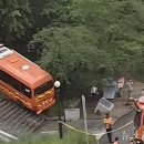 [일반] 이제는 소방버스가 나무로 돌진 이미지