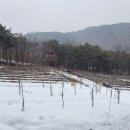 두루봉농원 이미지