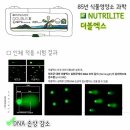 더블엑스 이미지