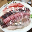 선어야술이야 이미지