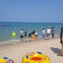 향림목장 이미지