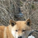 곰돌이민박 이미지