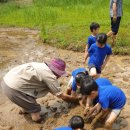 수잔나어린이집 이미지