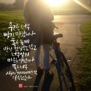 감성 붓펜 캘리그라피 이미지