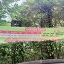 일산중앙 NRC 센터 | 일산 식사동 물놀이터 “2026 식사중앙공원 물놀이장” 운영 시간
