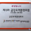 금강청과 이미지