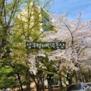 압구정-123 이미지