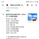 마이관광여행사 이미지