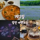 낭띠전원카페 | 5월 6월 국내 여행지 추천 당진 아그로랜드 수레국화 1박2일 코스