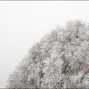 비엔나모텔 이미지