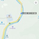 딸부자 꼬마김밥 태장1동점 | 강원도 영월 김삿갓계곡,💙 강아지랑 시원하게 물놀이 다녀왔어요!