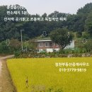 홍성 / 귀농귀촌용 564평 오디밭+주택 2억9천만원 이미지