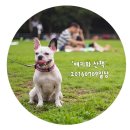 화산켄넬 이미지