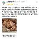 구미 족발무침 인동 족발 맛집 궁중왕족발 리뷰 모음
