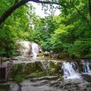 고요한 숲 이미지