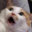 메디칼리서치 이미지