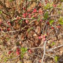 구봉산북로 이미지