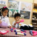 맑은숲동물병원 이미지