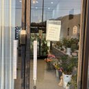 serendipity(세렌디피티) | [진해 꽃집 추천] "세렌디피티플라워" 꽃다발 실물 후기 24시간 무인 꽃집까지!