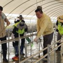 순성농장 이미지