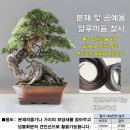 타이에스 이미지
