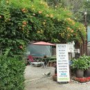 콩지칼국수 이미지