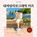 신발 - 대덕구 한밭대로988번길 7 | 내셔널지오그래픽 키즈샌들 사이즈 선택 팁 여름 유아신발 후기