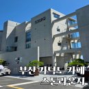 파스쿠찌 가덕도점 | 가덕도 신상카페 스톤라운지 오픈 첫날 솔직후기 부산가볼만한곳 가덕도대형카페