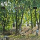 웨이투웨이 이미지