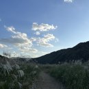 단양소백농협가곡지점 이미지