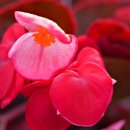 오늘은 음표 이미지