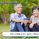 소가 행복한 농장 이미지