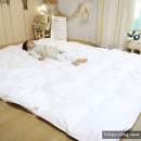 풍성한세탁 | 구스이불추천 바운티풀 호텔이불 후기 종류 세탁까지 완벽해
