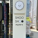 슈슈퍼피 이미지
